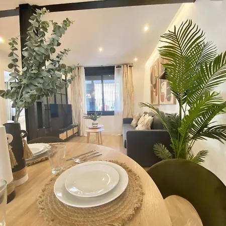 Apartament Am Iv Vut